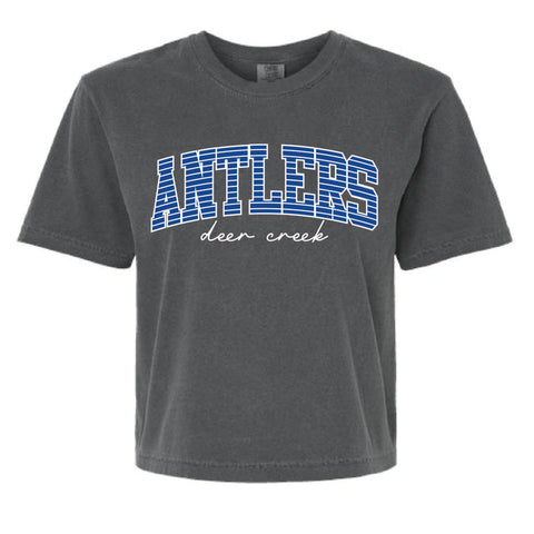 DEER CREEK INT. SCHOOL